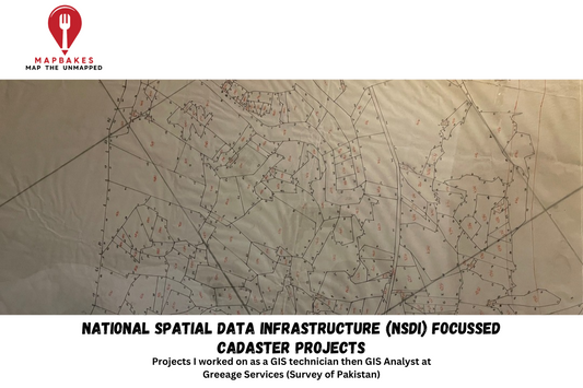 National Spatial Data Infrastructure (NSDI) Focussed Cadaster Projects