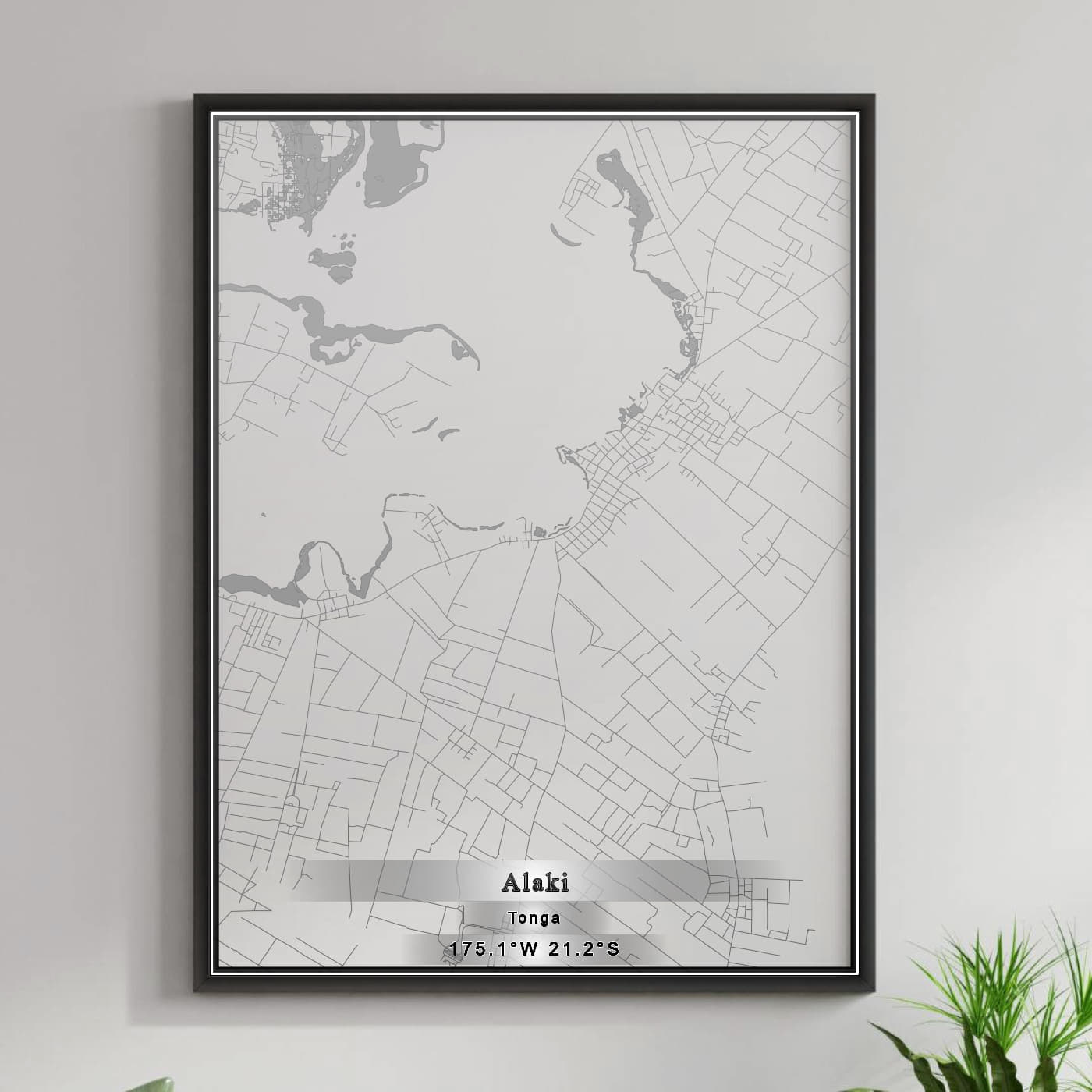 ROAD MAP OF ALAKI, TONGA BY MAPBAKES