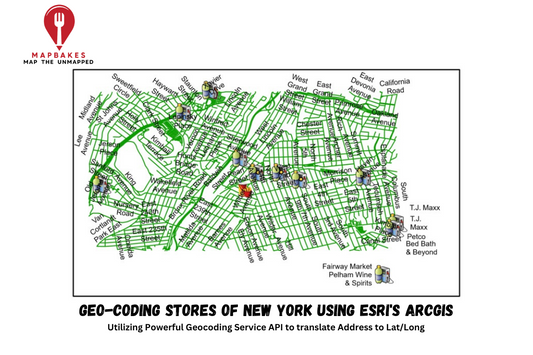 Geo-Coding Stores of New York using ESRI'S ArcGIS