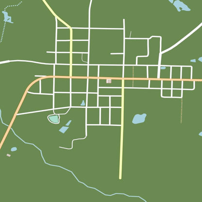 COLOURED ROAD MAP OF PAVO, GEORGIA BY MAPBAKES