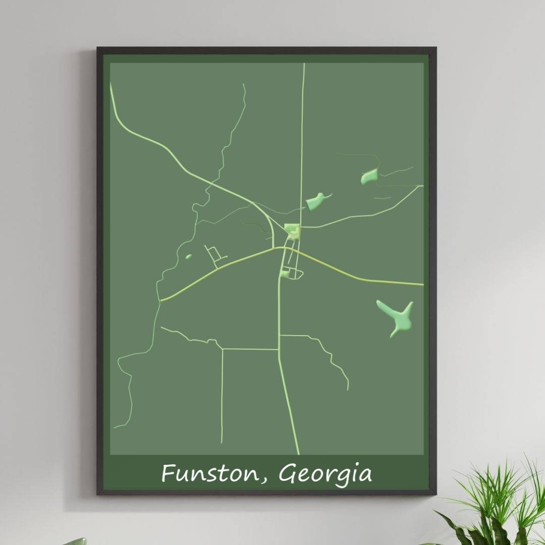 COLOURED ROAD MAP OF FUNSTON, GEORGIA BY MAPBAKES