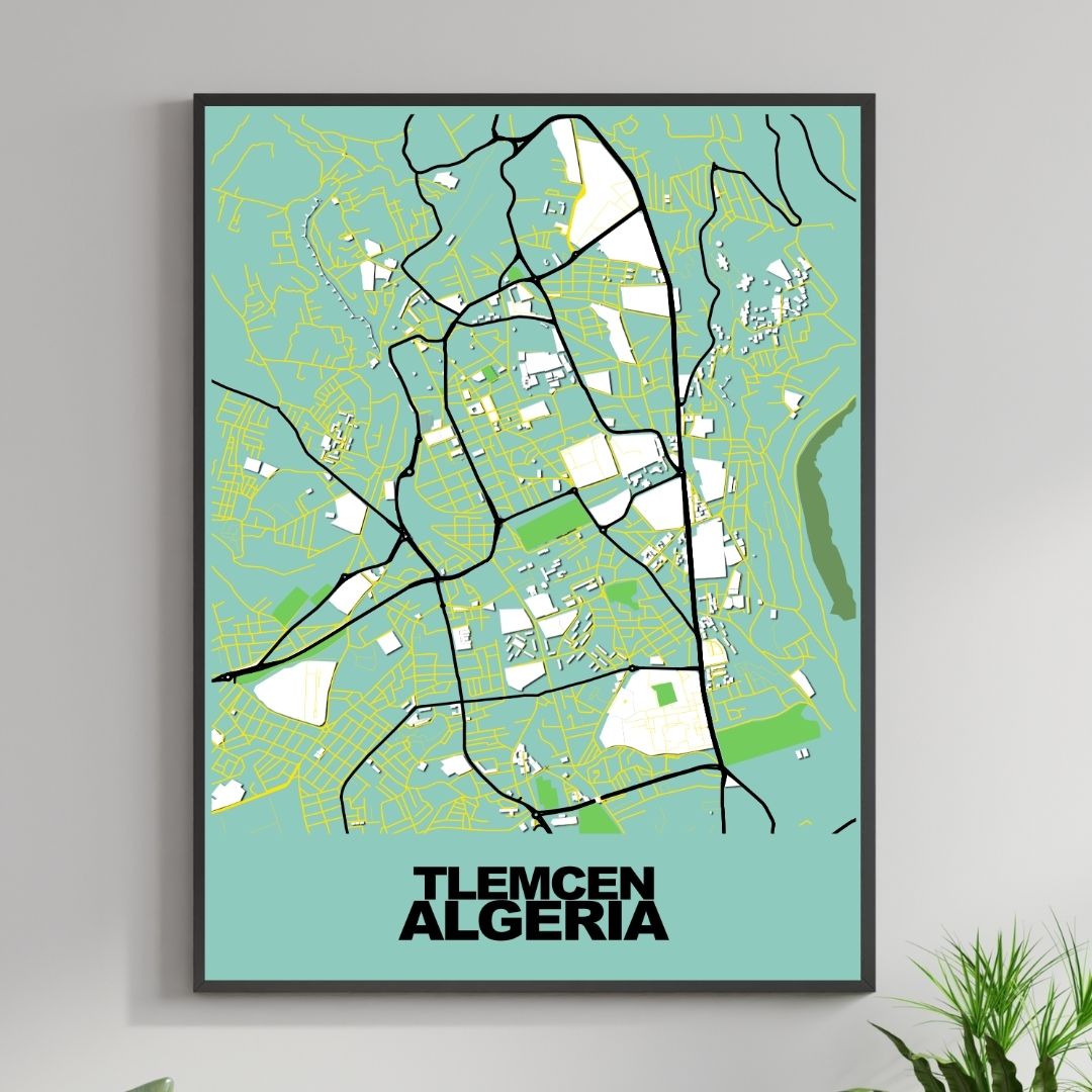 COLOURED ROAD MAP OF TLEMCEN, ALGERIA BY MAPBAKES