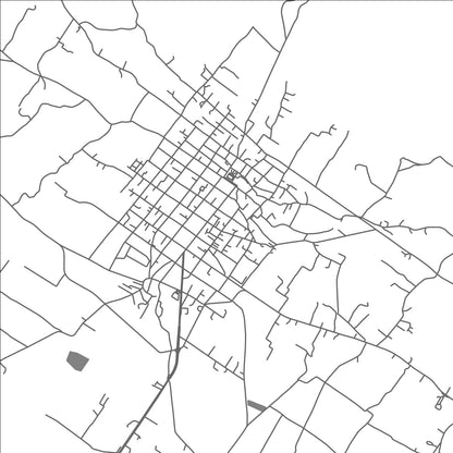 ROAD MAP OF SAN ANTONIO ENCHISI, MEXICO BY MAPBAKES