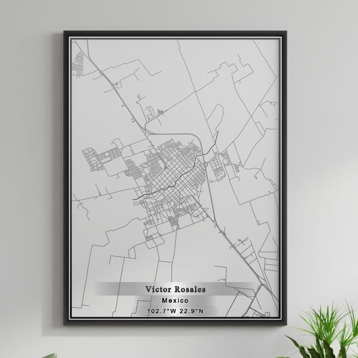 ROAD MAP OF VICTOR ROSALES, MEXICO BY MAPBAKES