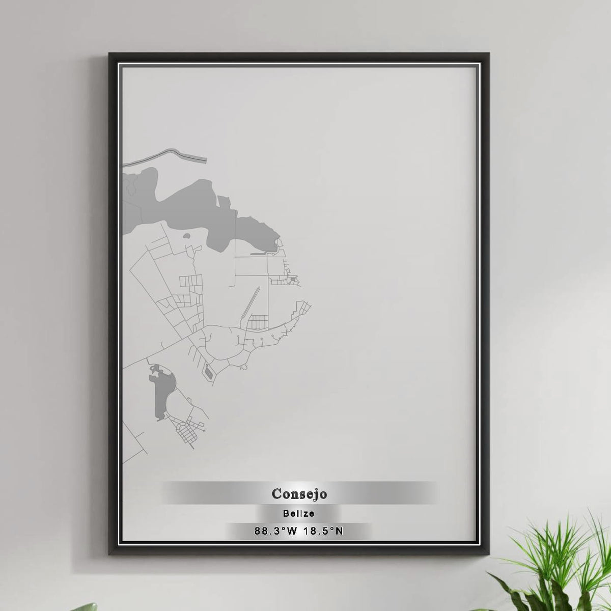 ROAD MAP OF CONSEJO, BELIZE BY MAPBAKES