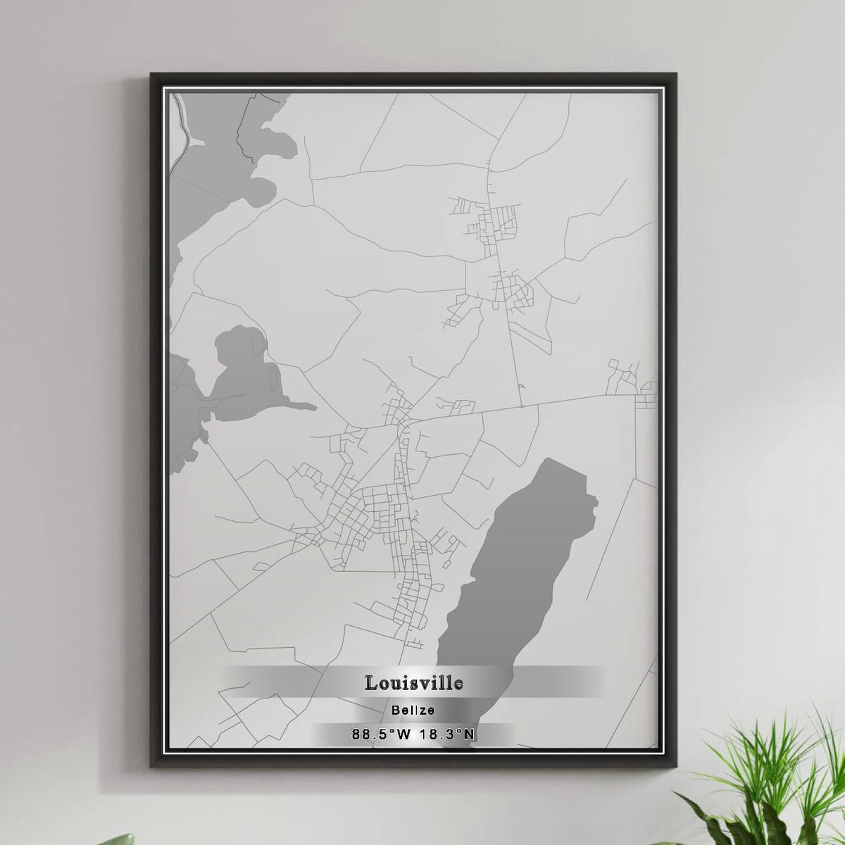 ROAD MAP OF LOUISVILLE, BELIZE BY MAPBAKES