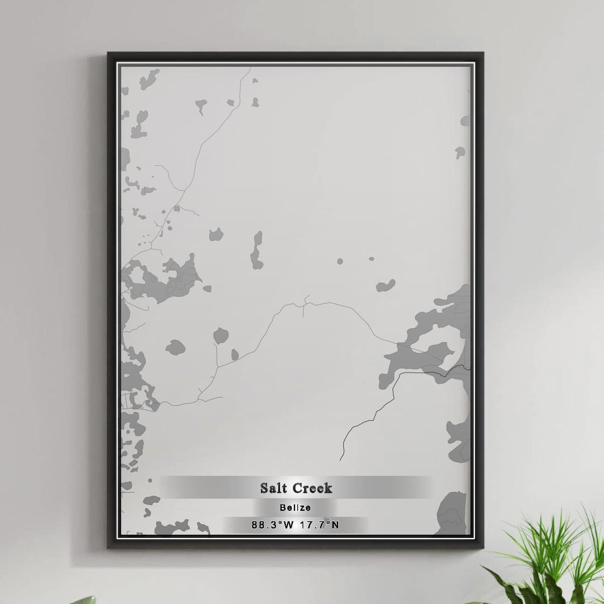 ROAD MAP OF SALT CREEK, BELIZE BY MAPBAKES