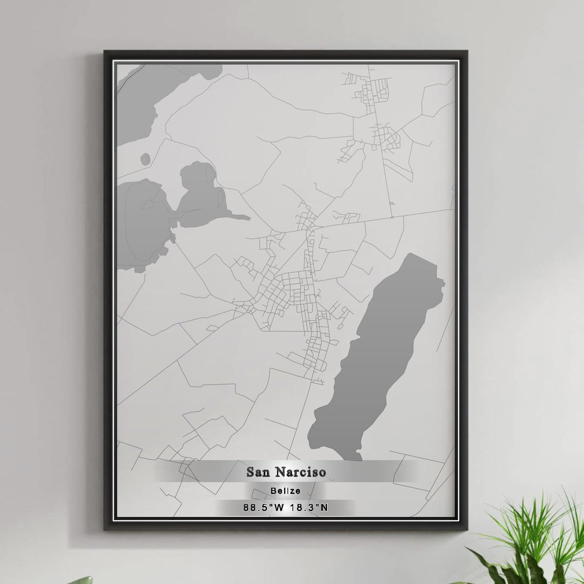 ROAD MAP OF SAN NARCISO, BELIZE BY MAPBAKES