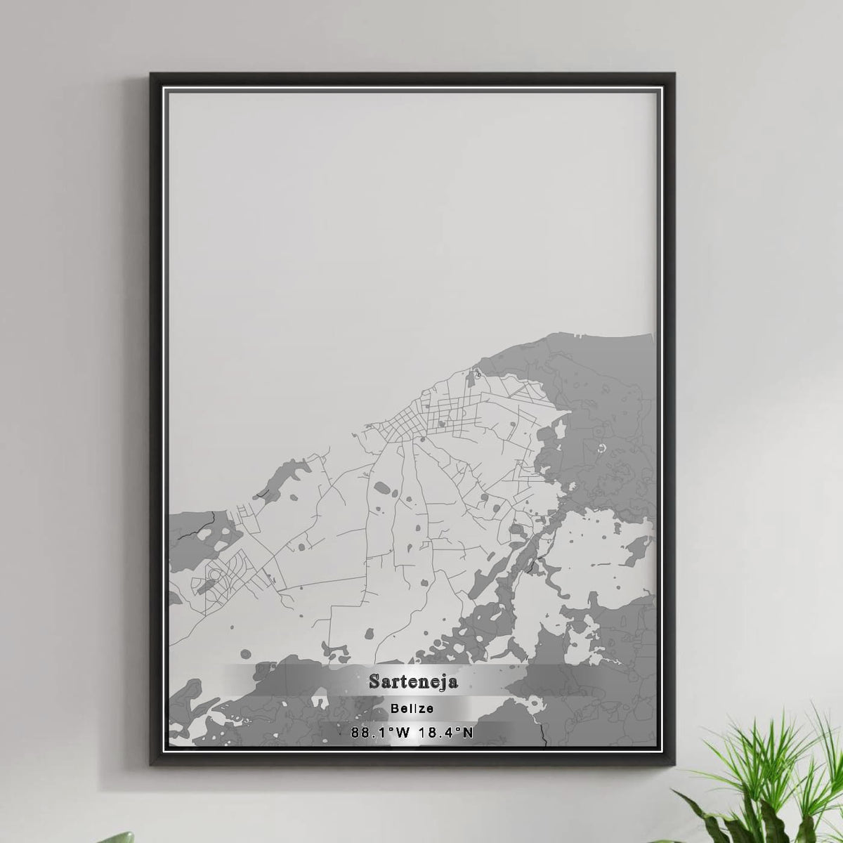 ROAD MAP OF SARTENEJA, BELIZE BY MAPBAKES