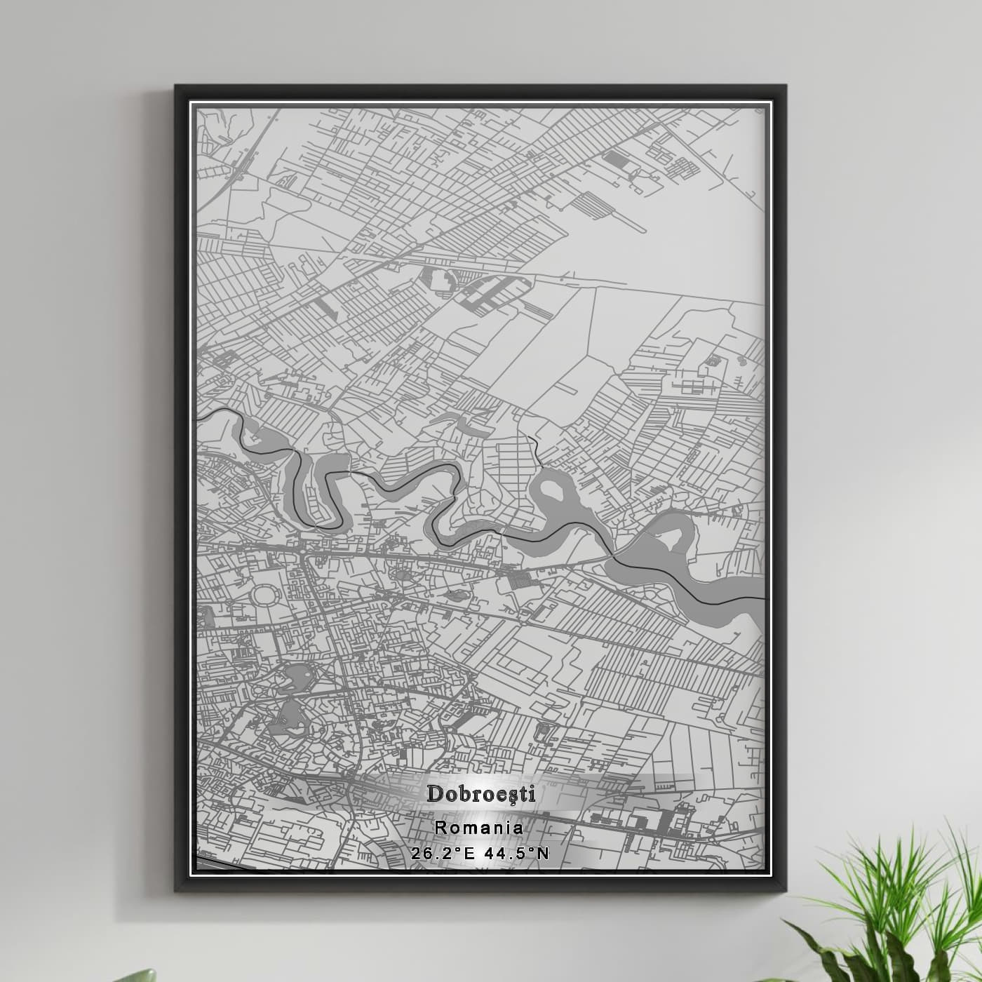 ROAD MAP OF DOBROESTI, ROMANIA BY MAPBAKES