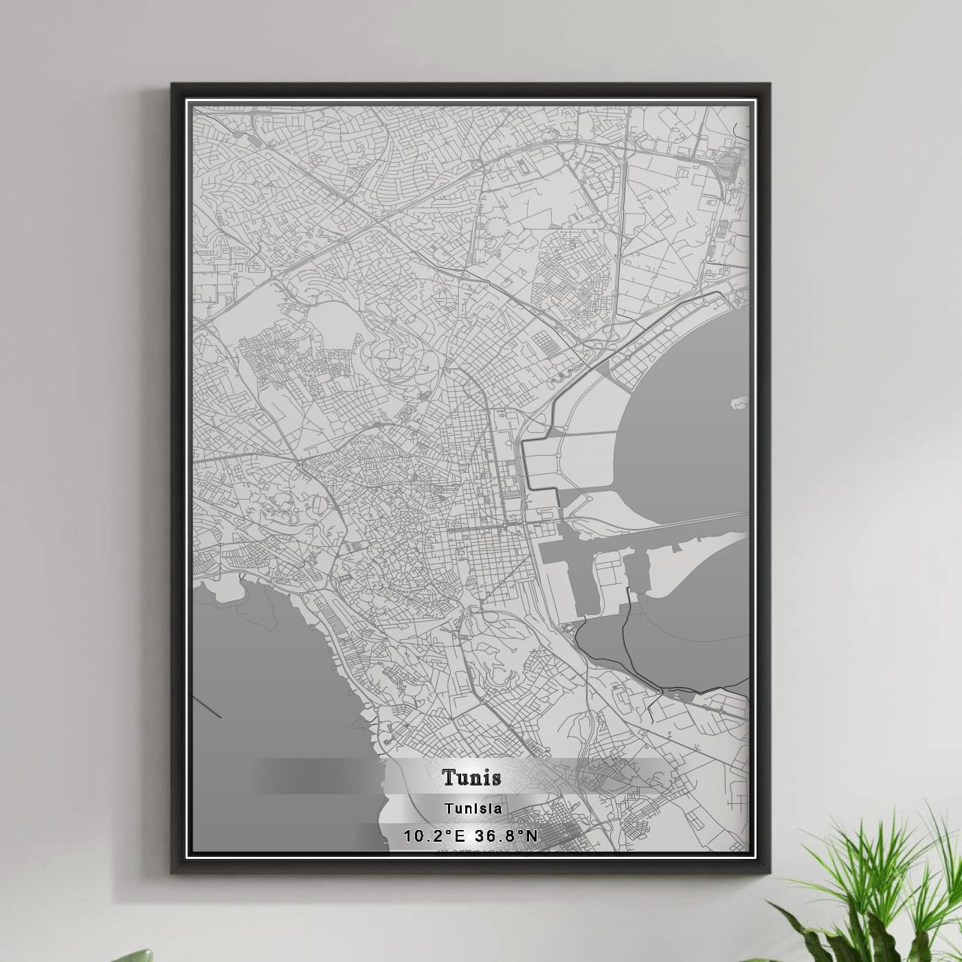 ROAD MAP OF TUNIS, TUNISIA BY MAPBAKES