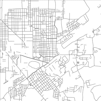 ROAD MAP OF NUEVA LOJA, ECUADOR BY MAPBAKES