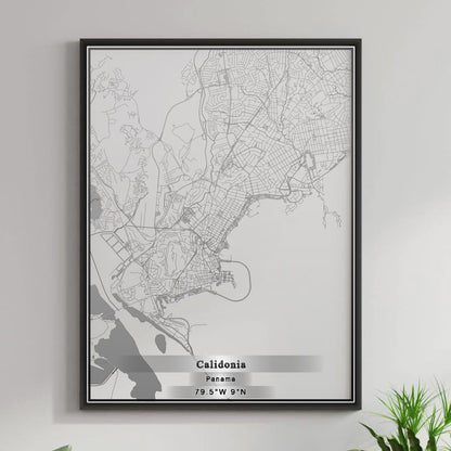 ROAD MAP OF CALIDONIA, PANAMA BY MAPBAKES